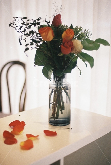 꽃,꽃잎,화병,유리병,식물,조화,실내용화초,화분,화초,house plant,감성,sensible,feeling