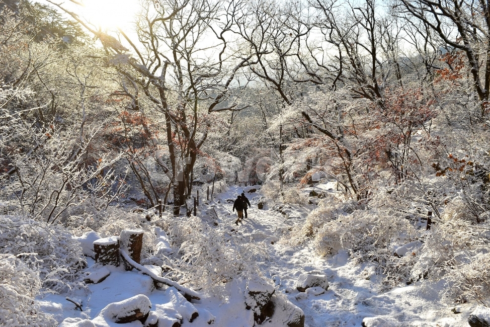 북한산,국립공원,설산,설경,눈,눈꽃,서울,도심지,명산,겨울,여행,국내여행,Seoul,Korea,National,Park,풍경,크리스마스,성탄절,화이트크리스마스,눈꽃풍경,비경,산행,등산,100대명산,기암,바위산,겨울,계절,winter,season,자연,풍경,nature,landscape,사람,인물,인간,human,person,outdoors,옥외,snow