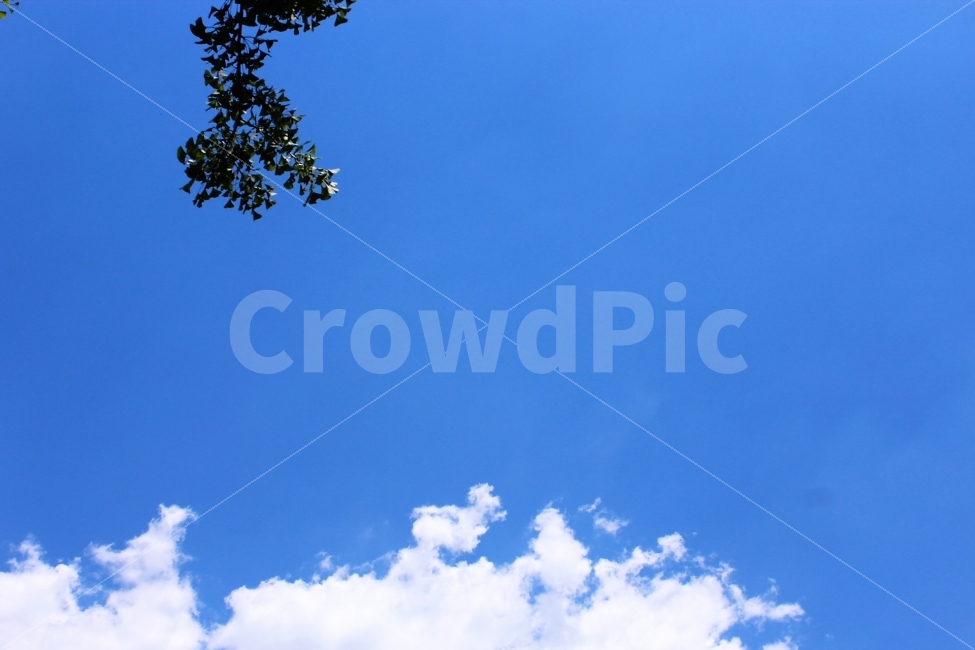 하늘,자연,색감,sky,color,tree,자연,풍경,nature,landscape