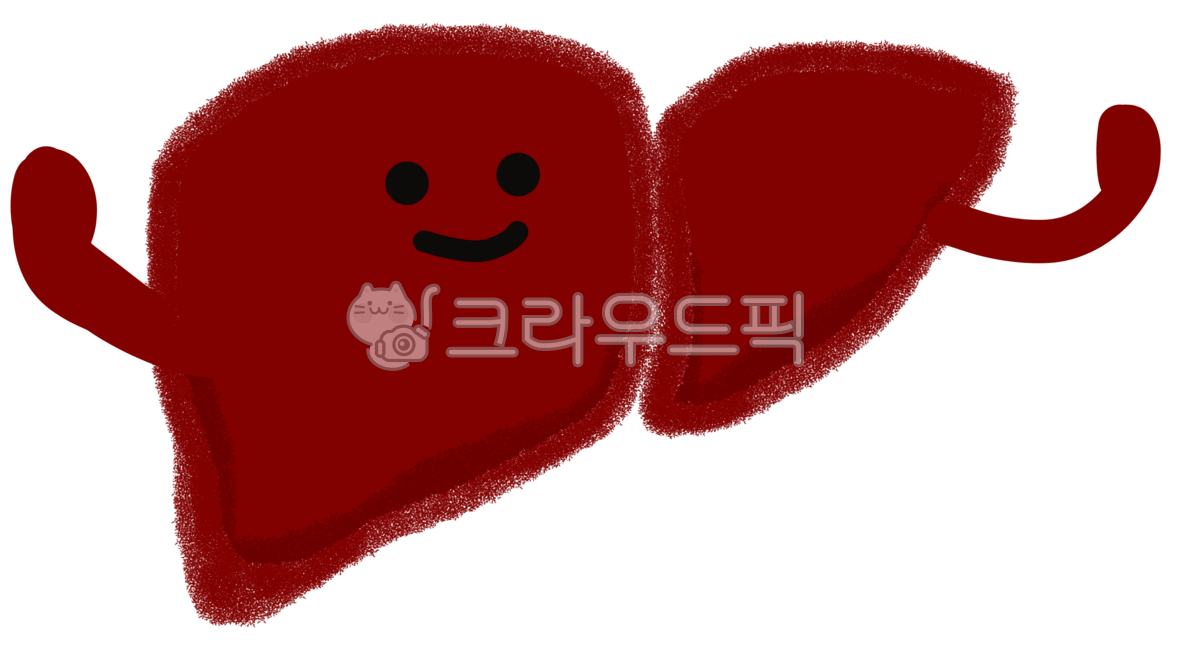 간,간손그림,간모형,간모양,간장기,인체간,내장간,빨간간,해부,간소화기관,간해부,간그림,간디자인,해부학,간캐릭터,간손상