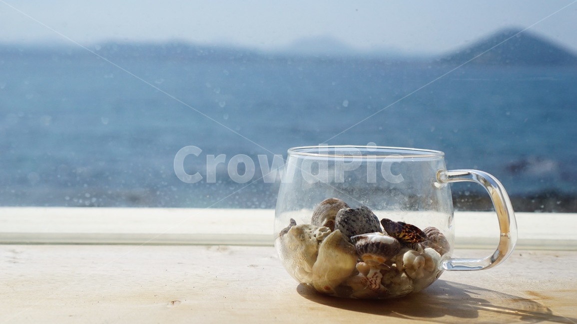 바다,조개,컵,제주도,제주,sea,shell,cup,shells,jeju,jejudo,우도,udo,테이블,table,glasscup,유리컵,조개껍데기,경치,scene,ocean,조개껍질,바다뷰,oceanview,seaview,카페,제주카페,seacafe,oceancafe,jejucafe,cafe,전망,바다전망,감성,sensible,feeling
