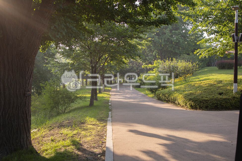 공원, 햇살, 여름햇살, 오후햇살, 통로, 사진,이미지,일러스트,캘리그라피 - Stay30작가