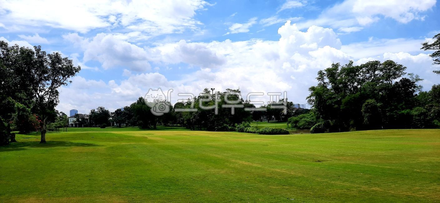 field,golf course,fairway,Indonesia Golf,golfcourse,Southeast Asia Golf