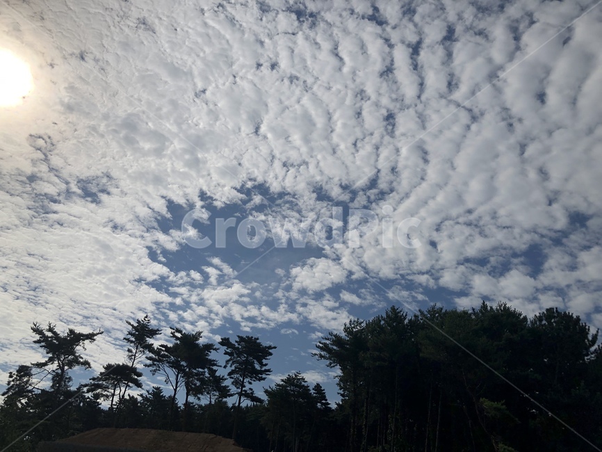 구름,cloud,자연,nature,하늘,sky,적운,cumulus,날씨,weather,옥외,outdoors,자연,풍경,nature,landscape