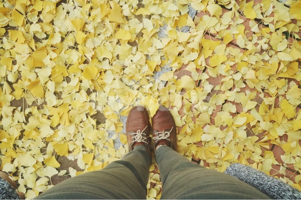 발자취,가을,단풍,낙엽,발,가을,계절,fall,autumn,season,사람,인물,인간,human,person,패션스타일,의상,fashion,style