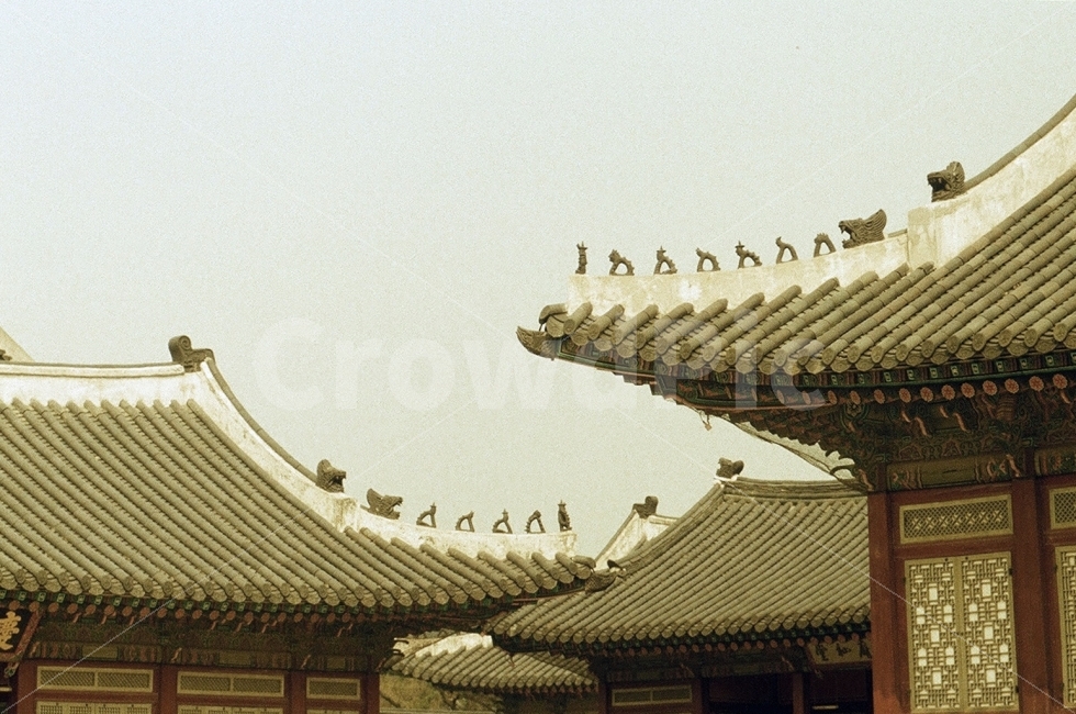 경복궁,잡상,궁궐,기와,기와지붕,필름사진,랜드마크,landmark,tourist attraction,한국전통,한국문화,korean traditional,korean culture,감성,sensible,feeling
