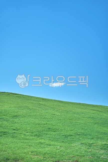 동산,언덕,구름,애기구름,푸른언덕,들판,잔디밭,여름,풀,풀밭,초원,올림픽공원,plant,식물,grassland,목초지,field,들,옥외,nature,자연
