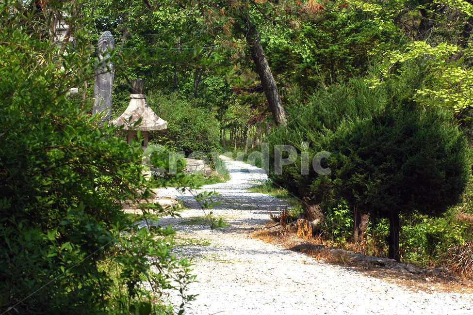 자연풍경,가로수길,산책길,수목원,나무,길,자연,풍경,nature,landscape,한국자연풍경,한국자연경관,korea nature landscape,outdoors,옥외,water,물,tree,plant,식물,dirt road,흙길,gravel,자갈,road,도로