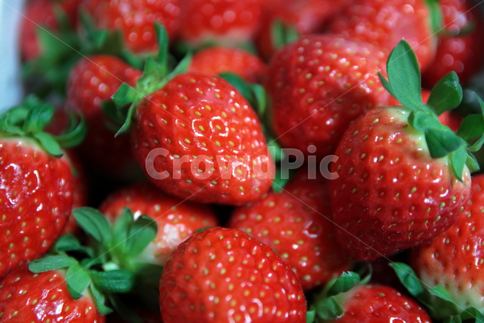 딸기,빨강,빨간맛,스트로베리,과일,음식,식재료,요리,food,cook,meal,dishes,food reserves,과일,열매,fruit,채소,야채,vegetables