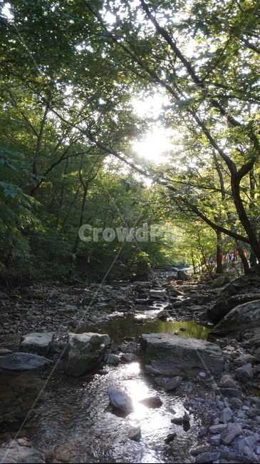 계곡,물길,물,숲,나무,자연,풍경,자연,풍경,nature,landscape,water,outdoors,옥외,stream,흐름,creek,작은 만