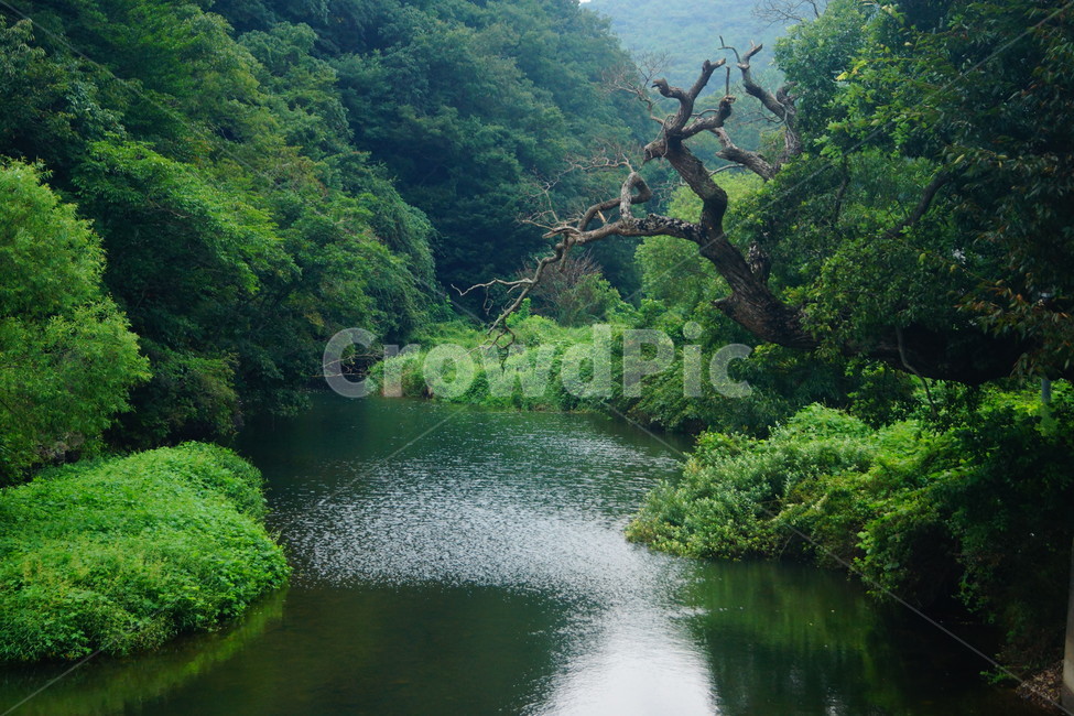 nature,자연,water,물,vegetation,초목,plant,식물,land,땅,자연,풍경,nature,landscape,outdoors,옥외