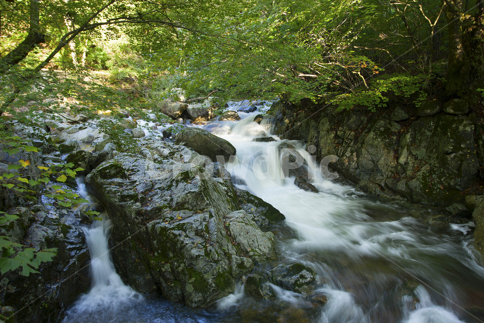 물,자연,outdoors,흐름,방태산,자연,풍경,nature,landscape,water,옥외,river,강,creek,작은 만,stream