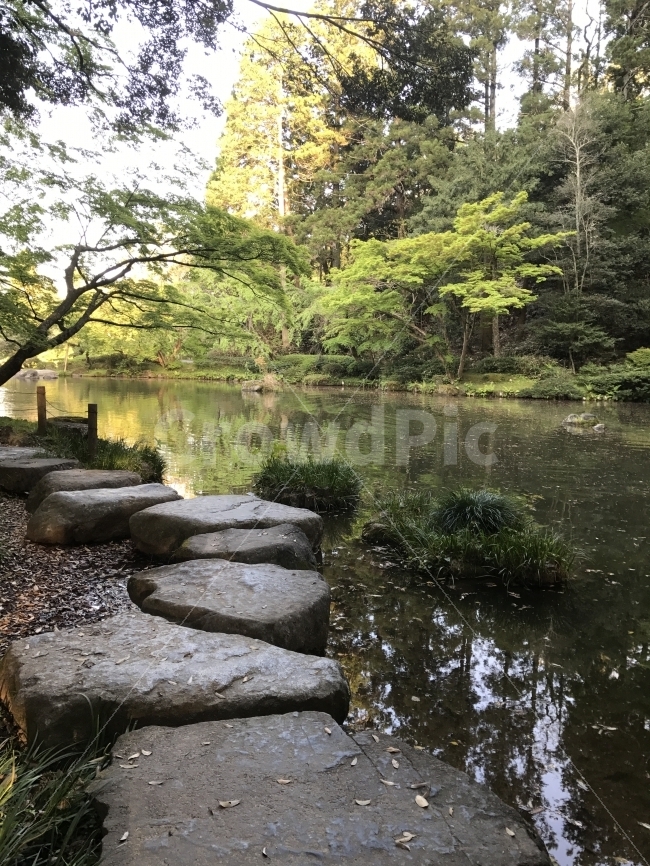 자연,감성,풍경,일본,원본,자연,풍경,nature,landscape,flagstone,판석