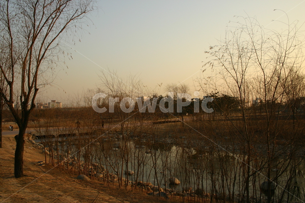 노을,석양,일몰,공원,한적,풍경,금빛,evening,glow,gold,golden,landscape,nature,orange,outdoor,peaceful,redsky,scenery,sky,sun,sunsets