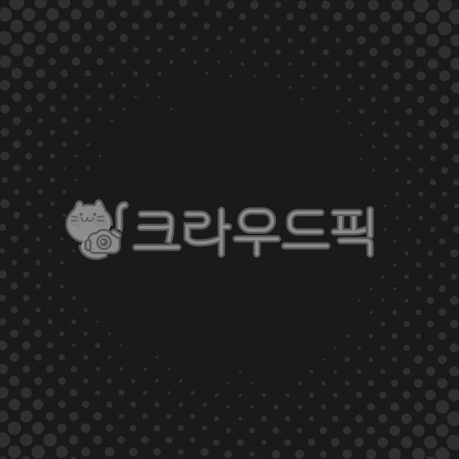dot background,pattern,dot,halftone dot effect,pop art,halftone effect,halftone dot,wave,dot pattern,black and white,decoration,spreading,black,monotone,square,half Tone background,pop art background,Halftone,background,pop art effect,effect,illustration,