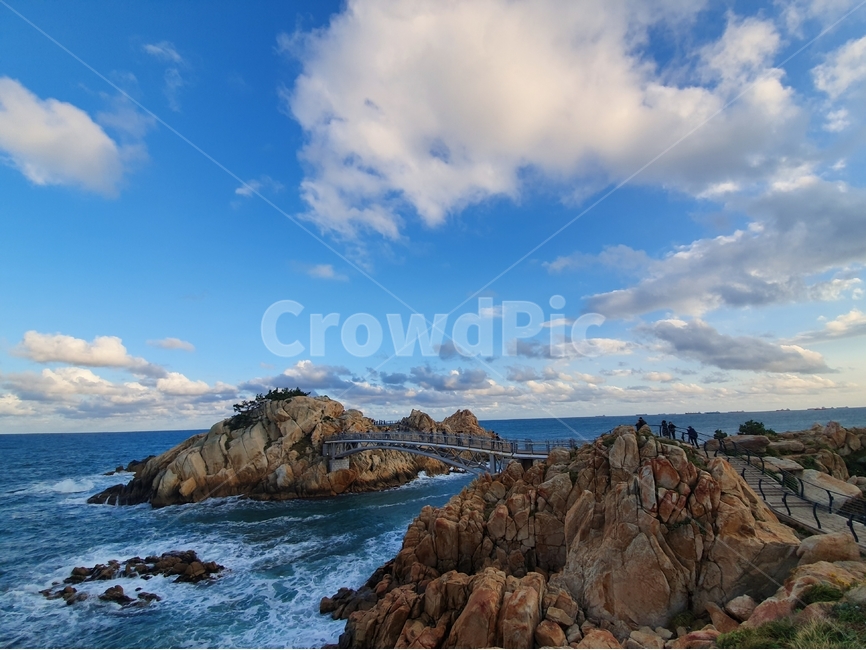 nature,자연,대왕암,하늘,바다