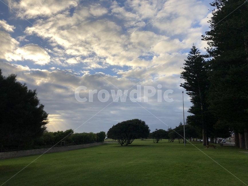 grass,잔디,plant,식물,outdoors,옥외,field,들,나무,자연,풍경,nature,landscape