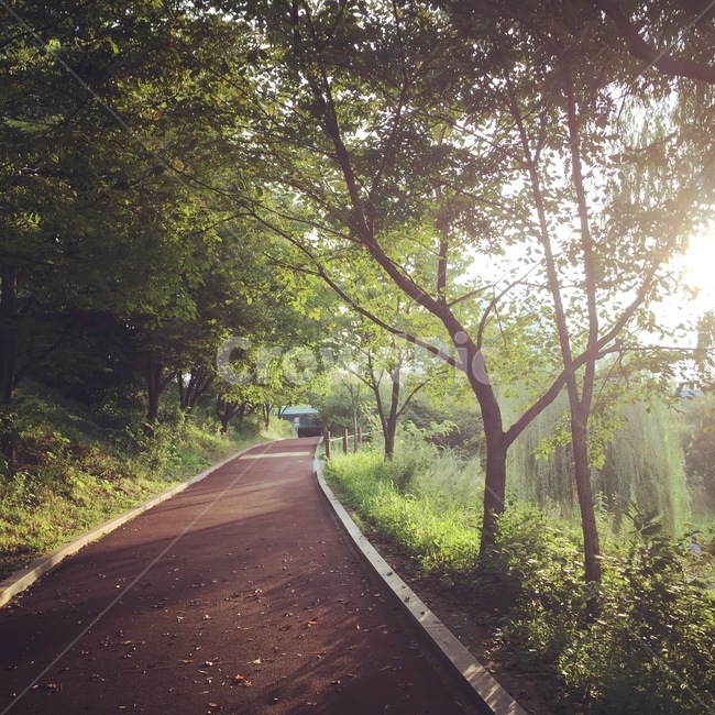 휴식,산책,공원,걷기,햇살,주말