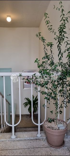 난간,화분,계단,건물,실내