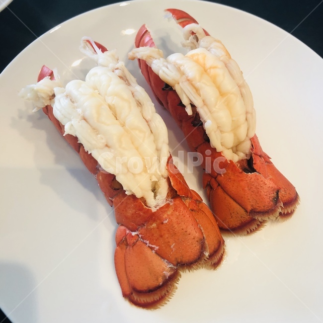 요리,랍스타,해산물,cook,lobster,seafood,음식,식재료,요리,food,cook,meal,dishes,food reserves,수산물,해산물,fishery products,seafood,양식,서양음식,서양요리,western food,western dishes,western meal,western cook