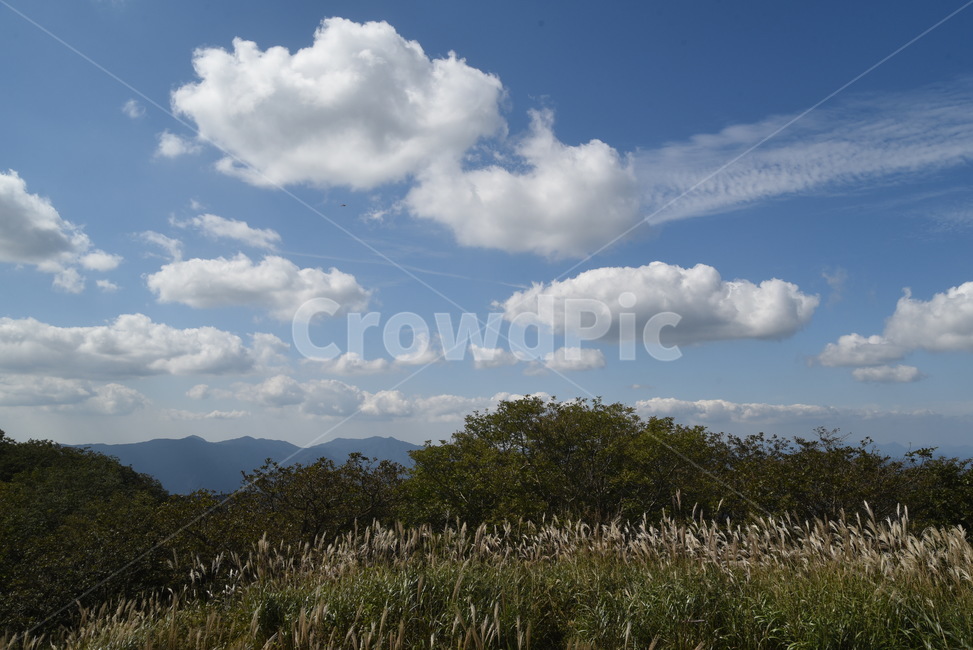 가을하늘,구름,nature,오솔길,자연,장안산,산,풍경,outdoors,road,자연,풍경,nature,landscape,weather,날씨,cumulus,적운,옥외,cloud,sky,하늘