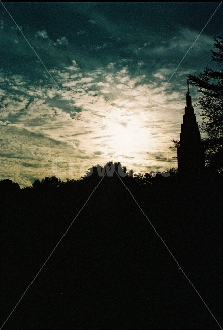 도쿄,필름카메라,일몰,그림자,도시,실루엣,그림자,silhouette,shadow