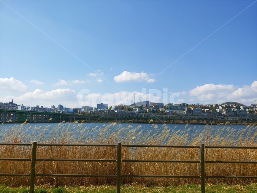 풍경,바람,한강,파란,갈대,하늘,남산,맑음,도시,풍경,city,landscape
