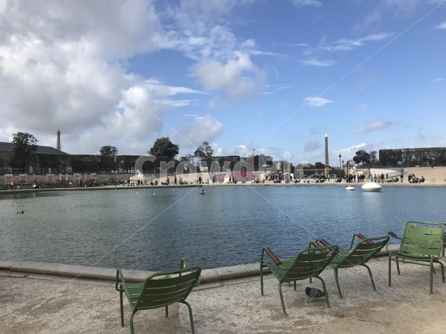 파리,튈트리정원,파리튈르리,비둘기,paris,jardindestuileries,paristuileries