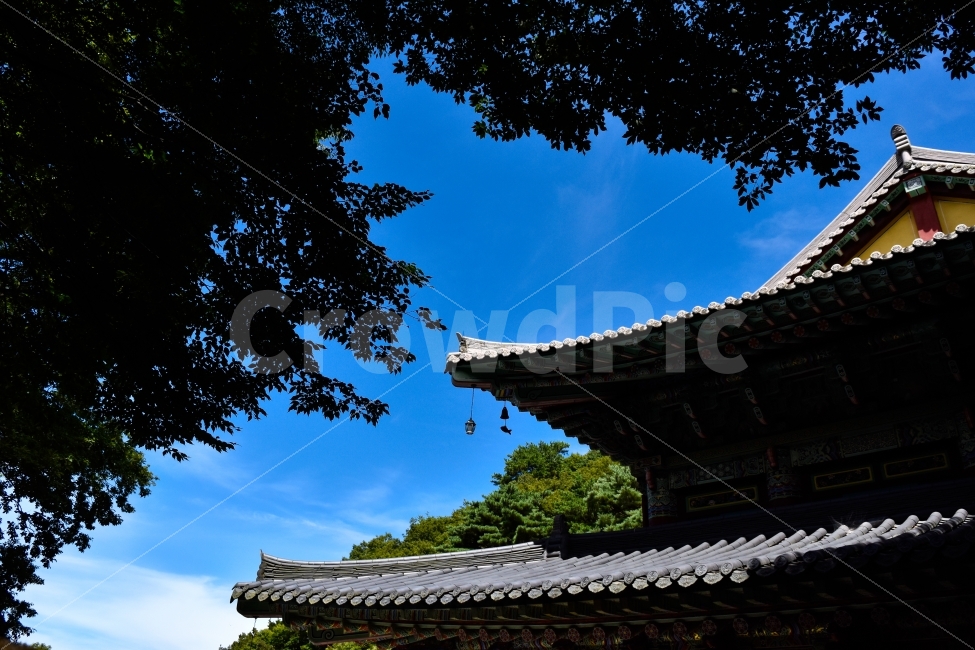 절,천왕사,제주도,힐링,절경,건축물,건물외관,exterior,building,structure,architecture,construction,한국전통,한국문화,korean traditional,korean culture,종교,신앙,religion,belief,faith