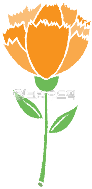 카네이션,그림,png,일러스트,어버이날,카네이션꽃,꽃,carnation,flower