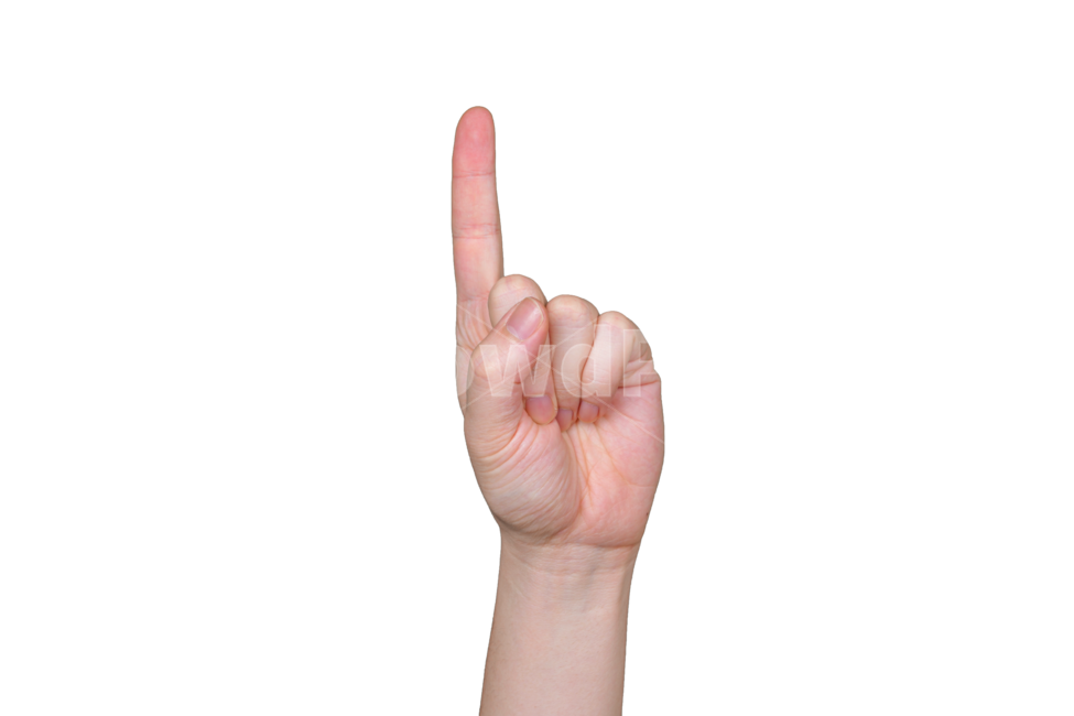 손,손가락,하나,1,첫째,방향,손동작,손모양,지시,숫자,선동,손목,사인,사람,인간,표현,표시,제스쳐,hand,human,person,wrist,신체일부,몸,body