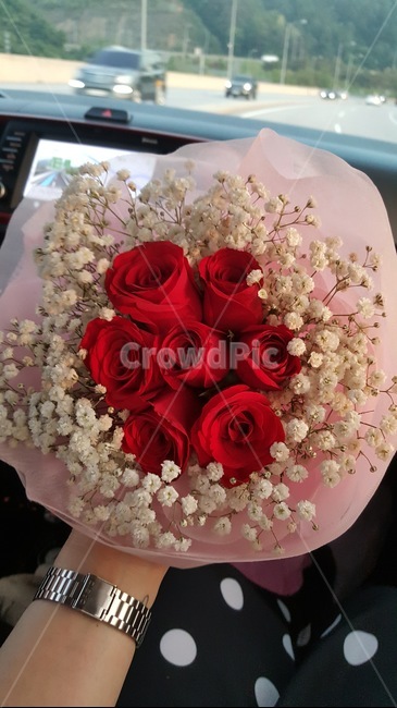 꽃,flower,안개꽃,장미,프로포즈