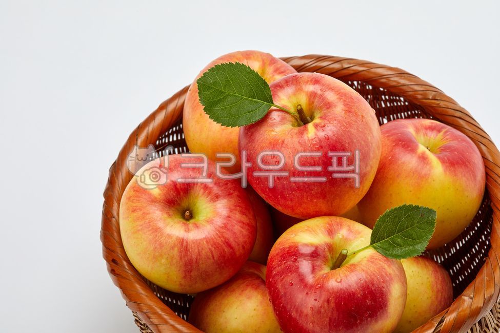 사과,과일,계절,후식,건강한,농업,음식,식물,디저트,상품,농작물,먹거리,식자재,요리재료,식재료,진열대,진열상품,흰색배경,apple,fruit,season,healthy,agricultural,plant,dessert,commodity,crop,food,ingredients,fresh,display,displaygoods