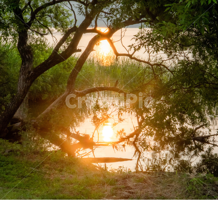 일출,강,sunrise,빛,sunlight,자연,풍경사진
