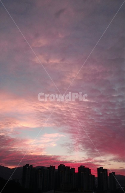 노을,하늘,핑크,구름,배경,색,색감,감성,pink,sunset,sky,cloud,color