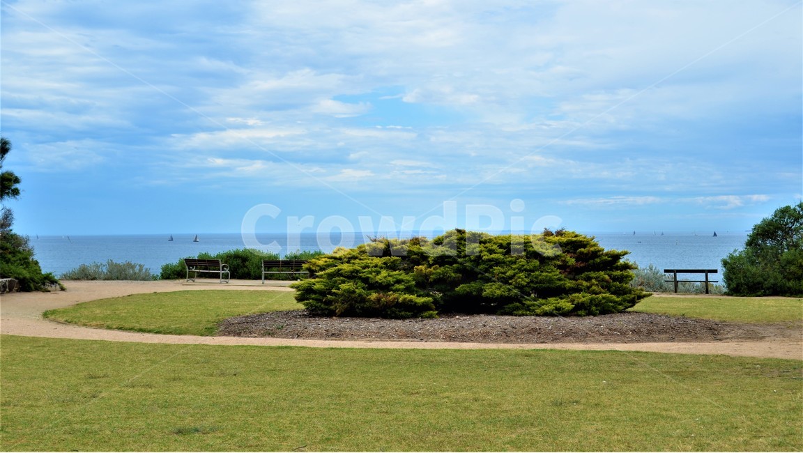 호주,멜버른,숲과바다,감성,여름,자연,풍경,nature,landscape,해외,외국,세계,foreign,oversea,world,세계자연풍경,해외자연풍경,외국자연풍경,world nature landscape,outdoors,옥외,plant,식물,grass,잔디,land,땅,field,들