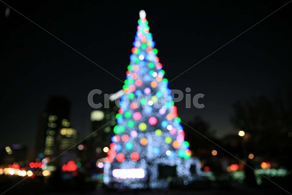 서울,밤,시청,불빛,트리,겨울,계절,winter,season,야경,밤,풍경,nightscape,night,landscape,나무,trees,wood,기념일,축하,anniversary,congratulation,celebrate,celebration,메리크리스마스,성탄절,merry christmas,plant,식물,tree,ornament,장식,christmas tree,크리스마스 트리