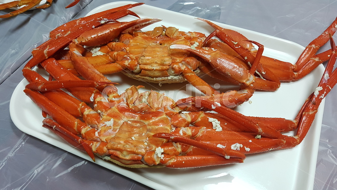 대게,대게찜,제철,포항,음식,찜,한식