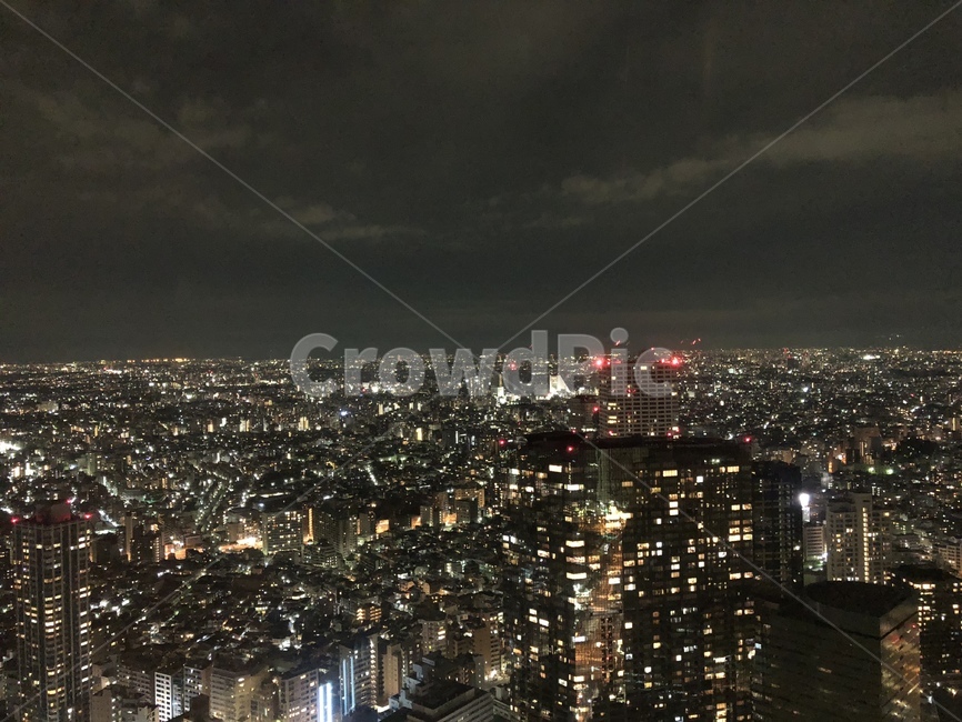 일본,도쿄,야경,도쿄타워,도시,밤,야경,밤,풍경,nightscape,night,landscape,도시,city,해외,외국,세계,foreign,oversea,world,세계도시풍경,해외도시풍경,외국도시풍경,world cityscape,outdoors,옥외,경치,nature,자연,scenery,aerial view,조감도