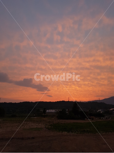 노을,하늘,석양,일몰,해넘이,일출,해돋이,역광,sunset,sky,논,농촌,풍경,마을,구름,자연,풍경,nature,landscape,outdoors,옥외,red sky,붉은 하늘,dusk,황혼,dawn,새벽