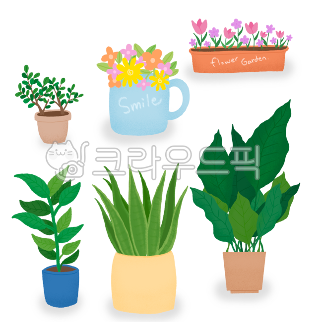 식물,화분,꽃,일러스트,식물일러스트,다육이,화초,plant,flower
