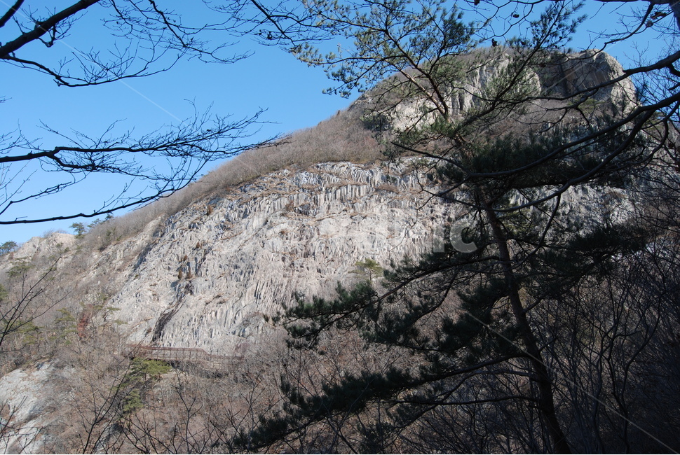 변산,꽝꽝나무,직소폭포,봉래구곡,부안군,등산로,능선,치유,여행,돌,산행,힐링,자연,동행,등산,계절,한국,한국명산,한국등산,풍경,나무,하늘,바람,땅,자연,풍경,nature,landscape,한국자연풍경,한국자연경관,korea nature landscape,plant,식물,tree
