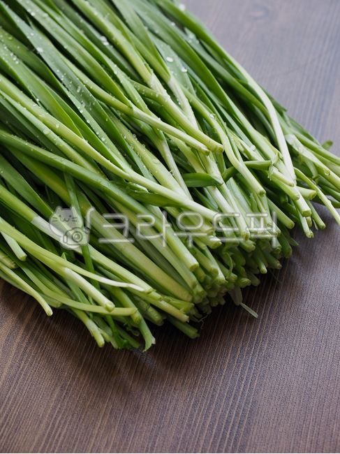 부추,유기농,유기농부추,채소,야채,음식,음식재료,녹색,chives,organic,organicleek,vegetable,food,foodingredients,green,배경,background,웰빙,웰빙음식,녹색채소,잎,잎채소,wellbeing,wellnessfood,greenvegetable,leaf,leafvegetable,식물,plant,음식,식재료,요리,food,cook,meal,dishes,food reserves,채소,야채,vegetables