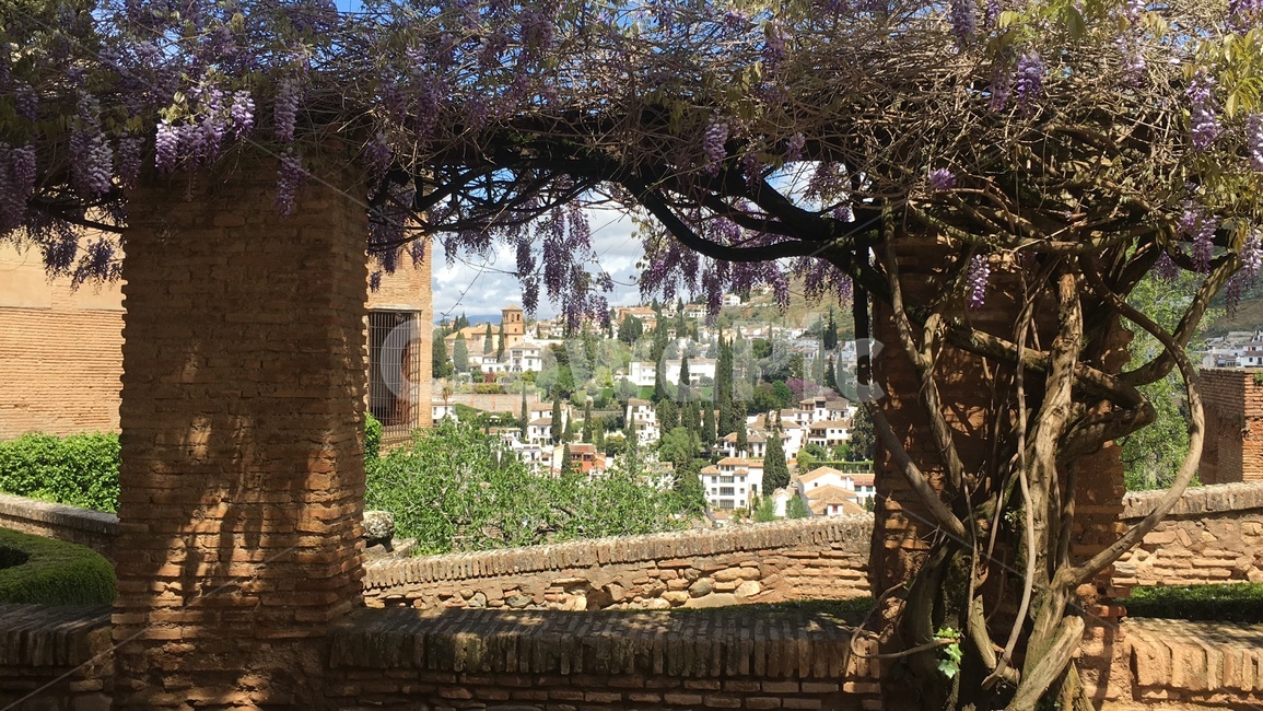 그라나다,알함브라궁전,스페인,alhambra,granada,봄,spain,april,flowers,arch,country,grapevines,lavender,라벤더,포도덩쿨,시골,시골마을,유럽,scenery,countryscenery,봄꽃