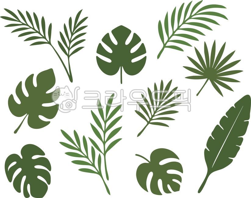 야자수,야자잎일러스트,야자수잎,야자잎,나뭇잎,잎,잎사귀,식물,해변가,해변,여름,썸머,모래사장,여름휴가,휴가,바다,바닷가,휴양,야자