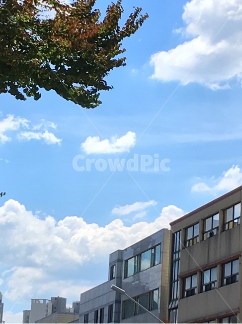 구름,하늘,감성,색감,cloud,sky,건물,날씨,건축물,건물외관,exterior,building,structure,architecture,construction