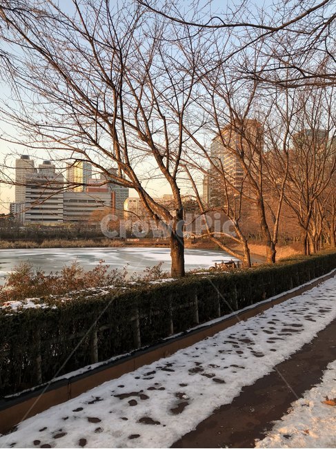 석촌호수,호수,공원,호수공원,잠실,lake,park,lakepark,겨울,계절,winter,season,자연,풍경,nature,landscape,tree,나무,plant,식물