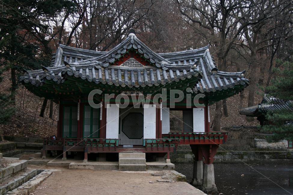 창덕궁,후원,부용정,부용지,세계문화유산,문화유산,한국,한국전통,한국문화,korean traditional,korean culture,랜드마크,landmark,tourist attraction,한국랜드마크,한국관광지,한국명소,korea landmark,korea tourist attraction