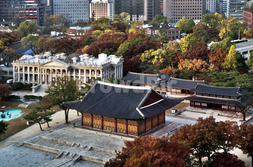 덕수궁,궁궐,가을,자연,도심,중화전,석조전,한국전통,한국문화,korean traditional,korean culture