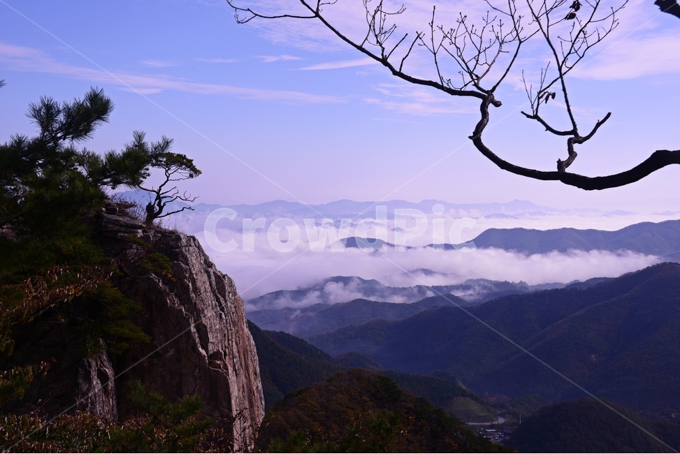 완주,대둔산,대둔산운해,운해,나무,nature,자연,outdoors,옥외,mountainrange,산맥,mountain,산,절벽